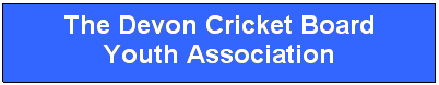 Text Box: The Devon Cricket Board
Youth Association
